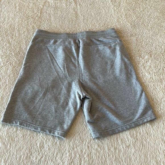 Alumnus gray shorts - Picture 2 of 16